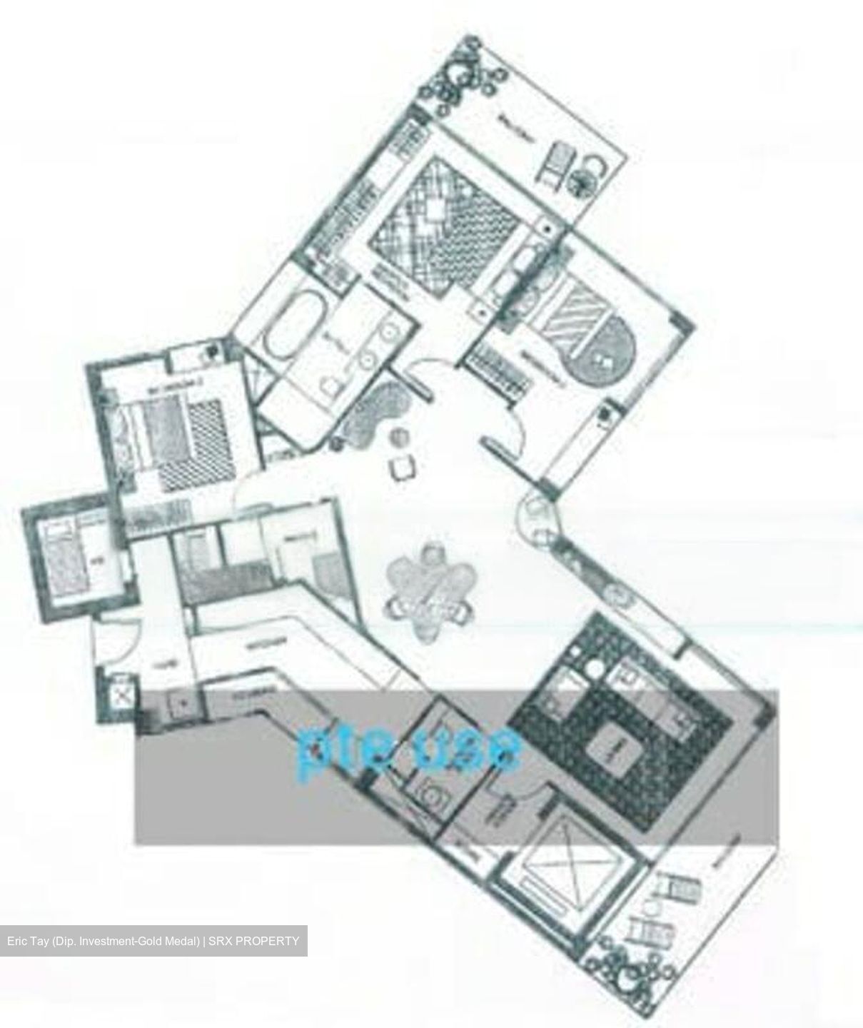 Belle Vue Residences (D9), Condominium #462527281